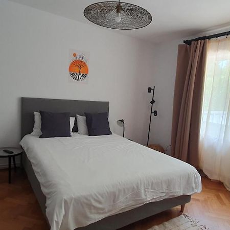 The Pines Serviced Apartments Brasov Luaran gambar